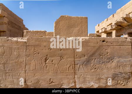 Il menu Akh o il «Giardino Botanico» di Thutmose III. Complesso del tempio di Karnak, Luxor Foto Stock