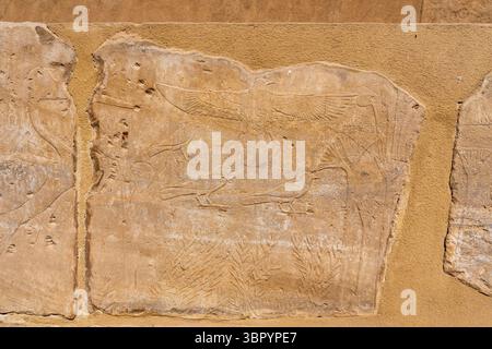 Il menu Akh o il «Giardino Botanico» di Thutmose III. Complesso del tempio di Karnak, Luxor Foto Stock