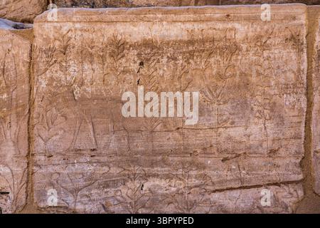 Il menu Akh o il «Giardino Botanico» di Thutmose III. Complesso del tempio di Karnak, Luxor Foto Stock