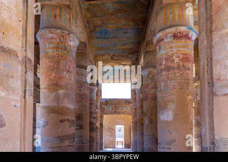 Il menu Akh o il «Giardino Botanico» di Thutmose III. Complesso del tempio di Karnak, Luxor Foto Stock