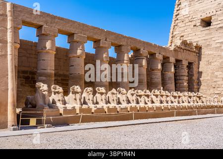 Cortile principale. Complesso del tempio di Karnak, Luxor Foto Stock