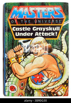 Fotografia dell'edizione Ladybird di He-Man, Masters of the Universe - Castle Greyskull sotto attacco. Configurazione studio. Copertina del libro usata su sfondo bianco Foto Stock