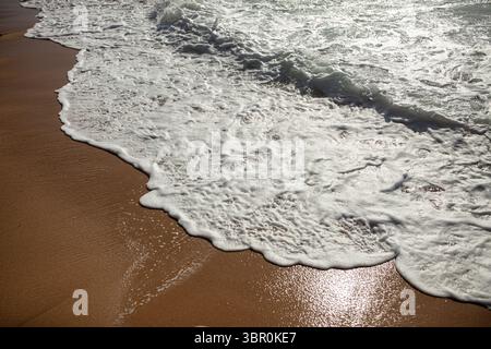 Spumeggiante onde dell'oceano su Sandy Beach Foto Stock