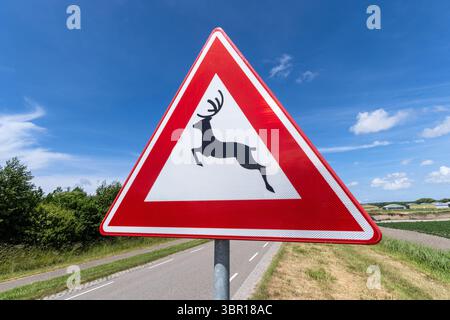 Cartello stradale olandese: Attraversamento di animali selvatici Foto Stock