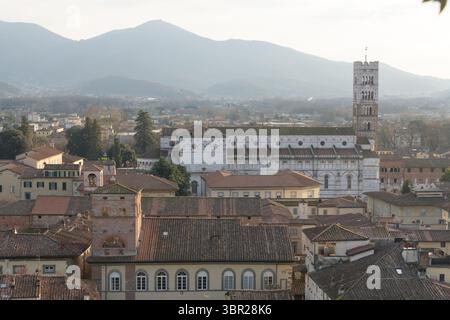 Vista dalla Torre Guinigi della Cattedrale di San Martino a Lucca, Italia, con campanile romanico e architettura in marmo bianco. Foto Stock