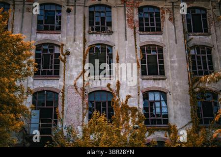 Vecchio edificio industriale con finestre rotte e viti sovrastate sulla facciata. I colori autunnali aggiungono contrasto alla struttura in decadimento. Foto Stock