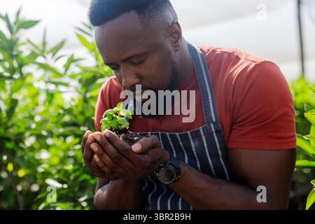 Uomo afroamericano che indossa un grembiule a righe che ispeziona le piantine nel vivaio della serra con le piante. Orticoltore, idroponico, botanico, sostenibile, Foto Stock