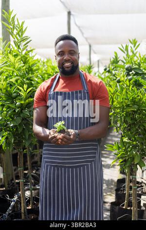 Uomo afro-americano adulto che indossa un grembiule a righe che tiene le piantine in un vivaio sotto un panno ombreggiato. Giardiniere, orticoltura, coltivazione, sostenibilità Foto Stock