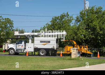 Trituratore e trituratore per la rifilatura di alberi per tagliare rami di alberi da trasformatori di palo di alimentazione Foto Stock