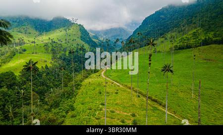 Paesaggio mozzafiato della Valle del Cocora a Quindio, con alte palme di cera tra lussureggianti colline verdi e spettacolari nuvole. Foto Stock