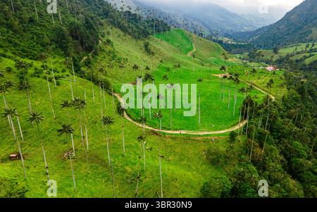 Splendida vista aerea della valle del Cocora, con lussureggianti paesaggi verdi e le iconiche palme di cera a Quindio, Colombia. Foto Stock
