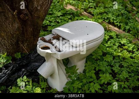 ciotola igienica in ceramica bianca rotta gettata vicino all'albero, nessuna persona Foto Stock