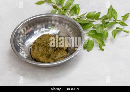 Pasta di foglie di henné verde appena preparata in una ciotola di acciaio, insieme alle foglie di Lawsonia inermis crude. Perfetto per tinture naturali per capelli o arte del corpo. Foto Stock