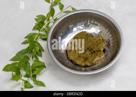 Pasta verde brillante di foglie di henné in una ciotola d'acciaio, con foglie fresche di Lawsonia inermis disposte accanto ad essa. Ingredienti naturali biologici per prodotti di bellezza. Foto Stock