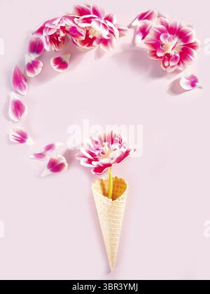 Cono gelato con fiori rosa e petali. San Valentino concetto. Giacitura piatta Foto Stock