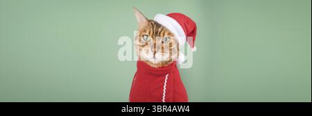 Bellissimo gatto del Bengala con la tuta di Babbo Natale contro pareti colorate. Concetto di celebrazione di Natale e Capodanno. Copia spazio Foto Stock