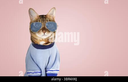 Divertente gatto rosso con gli occhiali e una maglietta. Copia spazio Foto Stock