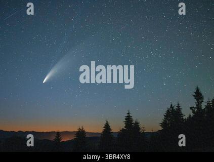 Cometa retrogrado NEOWISE (C/2020 F3) scoperta dalla NASA il 27 marzo 2020. Passando dalla Terra durante 6.766 anni di viaggio orbitale. 15 luglio 2020, Elkton, OREGON, U.S.A: La cometa NEOWISE vista sulle colline boscose con abeti Douglas vicino a Elkton, nell'Oregon sudoccidentale. (Credit Image: © Robin Loznak/ZUMA Wire)Cometa retrogrado NEOWISE (C/2020 F3) NASA scoperto il 27 marzo 2020. Passando dalla Terra durante 6.766 anni di viaggio orbitale. Foto Stock