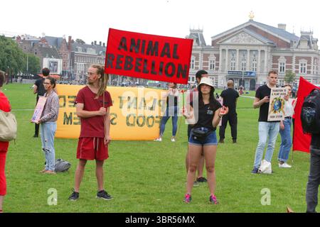 18 luglio 2020, Amsterdam, Paesi Bassi: Attivisti della ribellione animale partecipano a un'azione di protesta con lo slogan Blood on your Hands al Museumplein in mezzo alla pandemia di Coronavirus il 18 luglio 2020 ad Amsterdam, Paesi Bassi. Il movimento dei Paesi Bassi per la ribellione degli animali chiede al governo di condurre una transizione verso un sistema alimentare vegetale al fine di risolvere la crisi climatica. (Immagine di credito: © Paulo Amorim/VW Pics tramite filo ZUMA) Foto Stock