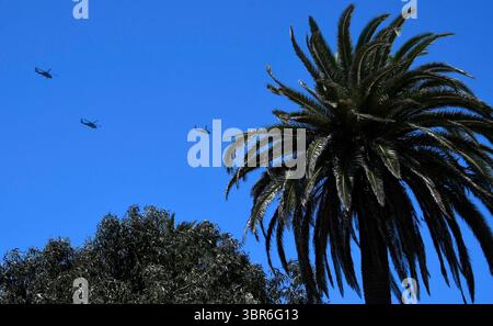 Quasi due dozzine di elicotteri Blackhawk e Apache hanno volato lungo la costa sopra il molo di Santa Monica diretto a Los Angeles come parte di un esercizio di addestramento martedì, Santa Monica CA/USA 31 luglio 2020..i 22 elicotteri della 25th Combat Aviation Brigade erano diretti all'aeroporto John Wayne da Fort Irwin a San Diego durante un'esercitazione che ha richiesto una sosta per il rifornimento, secondo l'aeroporto. (Immagine di credito: © Gene Blevins/ZUMA Wire) Foto Stock