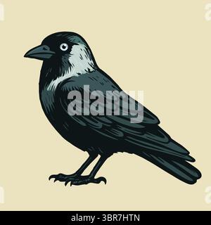 Un'illustrazione di un'illustrazione del jackdaw occidentale. L'uccello è raffigurato lateralmente. Occhio feroce.sfondo giallo chiaro Illustrazione Vettoriale