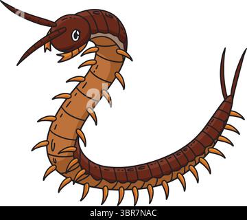 Centipede di insetti animato Clipart colorato Illustrazione Vettoriale