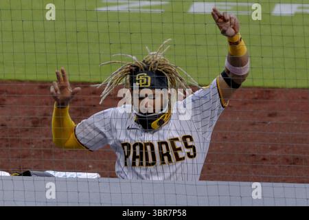 11 agosto 2020, San Diego, CA, Stati Uniti: L'interno dei San Diego Padres Fernando Tatis Jr. Celebra in un file immagine al Petco Park di San Diego. (Immagine di credito: © TNS via cavo ZUMA) Foto Stock
