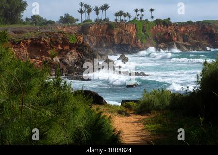 24 dicembre 2018, Hawaii, Stati Uniti: Vista costiera al Mahaulepu Heritage Trail, Kauai, Hawaii, USA (immagine di credito: © Andre Seale/VW Pics via ZUMA Wire) Foto Stock