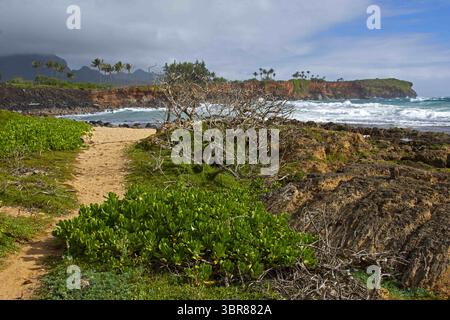 24 dicembre 2018, Hawaii, Stati Uniti: Vista costiera al Mahaulepu Heritage Trail, Kauai, Hawaii, USA (immagine di credito: © Andre Seale/VW Pics via ZUMA Wire) Foto Stock