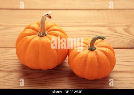 Bellissime mini zucche su sfondo di legno chiaro. Vista dall'alto Foto Stock