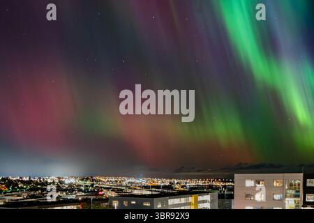 Vista delle vivaci sfumature di danza verde e violetta attraverso il cielo notturno sopra il paesaggio urbano, in contrasto con il caldo bagliore delle luci lontane, Reykjavík, Reykjavíkurborg, Islanda. Foto Stock