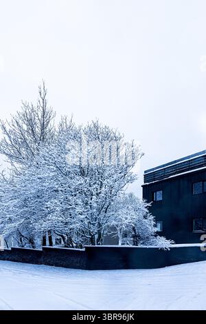 La vista di un edificio buio si erge accanto agli alberi ricoperti di neve, creando un netto contrasto con il paesaggio bianco, Reykjavík, Reykjavíkurborg, Islanda. Foto Stock