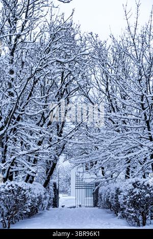 La vista di un sentiero carico di neve conduce a un edificio solitario, alberi racchiusi in bianco, che creano un tranquillo paese delle meraviglie invernali, Reykjavík, Reykjavíkurborg, Islanda. Foto Stock