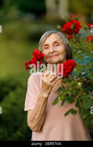Una donna di 87 anni, con i capelli argentati, che tiene delicatamente un ramo di rosa rossa in un giardino. Foto Stock