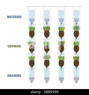 Infografica delle piantatrici di bottiglie in plastica autoannaffianti su sfondo bianco. Giardino verticale, concetto di agricoltura urbana. Illustrazione vettoriale disegnata a mano. Illustrazione Vettoriale