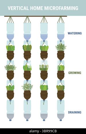 Infografica delle piantatrici di bottiglie in plastica autoannaffianti su sfondo bianco. Giardino verticale, concetto di agricoltura urbana. Illustrazione vettoriale disegnata a mano. Illustrazione Vettoriale