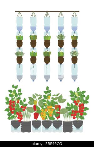 Piantatrici a bottiglia in plastica autoannaffianti su sfondo bianco. Giardino verticale, concetto di agricoltura urbana. Illustrazione vettoriale disegnata a mano. Illustrazione Vettoriale