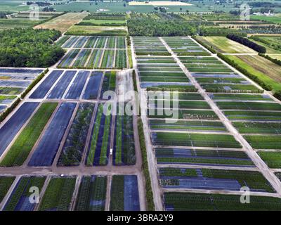 Vista aerea di un vivaio orticolo su larga scala con filari di piante coltivate, campi organizzati, un paesaggio rurale. Foto Stock