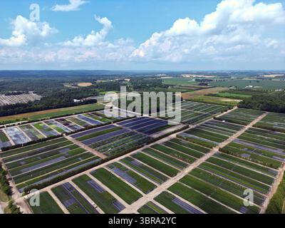 Vista aerea di un vivaio orticolo su larga scala con filari di piante coltivate, campi organizzati, in un paesaggio rurale. Foto Stock