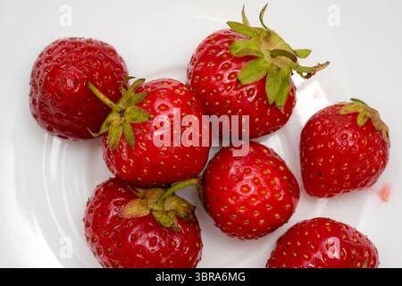 Le fragole di colore rosso brillante sono disposte ad arte su un piatto bianco, invitando tutti. Foto Stock