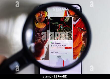 Secondo un'indagine del quotidiano Dagens Nyheter, le guardie del corpo del servizio di sicurezza svedese (svedese: Säkerhetspolisen, Säpo) hanno divulgato informazioni che avrebbero potuto influenzare la sicurezza del primo ministro svedese in diverse occasioni tramite l'app di formazione Strava. Foto Stock