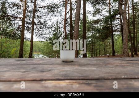 Una semplice tazza in smalto bianco siede su un tavolo da picnic in legno intempestivo, con una foresta sfocata e un lontano lago sullo sfondo. Foto Stock