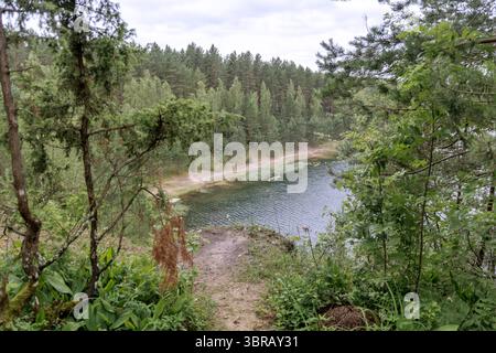 Un lago tranquillo con uno stretto sentiero sabbioso lungo la sua riva, parzialmente oscurato e incorniciato da fitti alberi di foresta e sottobosco verde, creando un luogo appartato Foto Stock