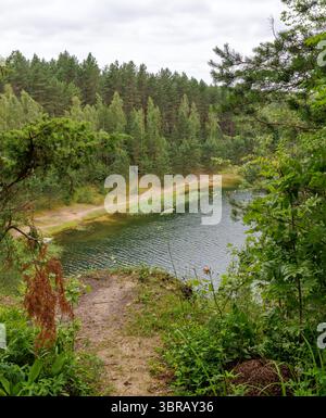 Una vista sopraelevata che mostra un lago tranquillo con un sentiero sabbioso che si snoda lungo il suo bordo, circondato da una fitta e vibrante foresta sotto un cielo nuvoloso. Foto Stock