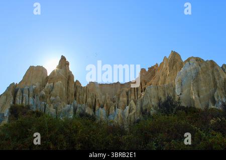 Cattedrali di argilla, Omarama Clay Cliffs, Geological Wonders, Waitaki Valley Foto Stock