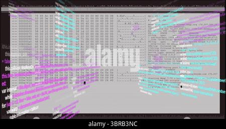 Visualizzazione delle finestre dell'editor esadecimale e Nmap sul desktop del computer, visualizzazione della scansione delle porte e delle sovrapposizioni di codice Foto Stock