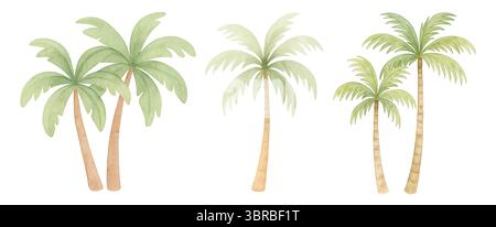 Set di elementi botanici acquerelli: Palme, foglie e fiori su sfondo bianco Foto Stock