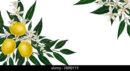 Cornice ad acquerello botanico al limone con fiori di agrumi bianchi e foglie verdi lussureggianti su sfondo bianco. Perfetto per inviti, a tema estivo Foto Stock