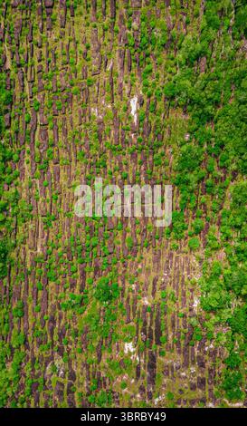Incredibile cattura aerea di un vivace paesaggio verde con formazioni rocciose uniche a San Jose del Guaviare, Colombia, che mostrano la bellezza naturale. Foto Stock