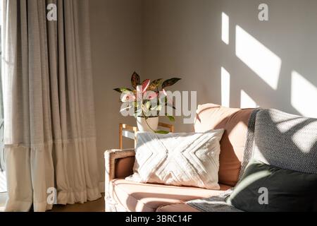 Divano color corallo seduto vicino alla finestra, adornato con cuscini, lancette e piante variegate Foto Stock